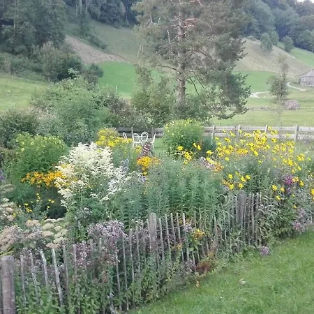 Haus Sonnenbichl Whg 201 *